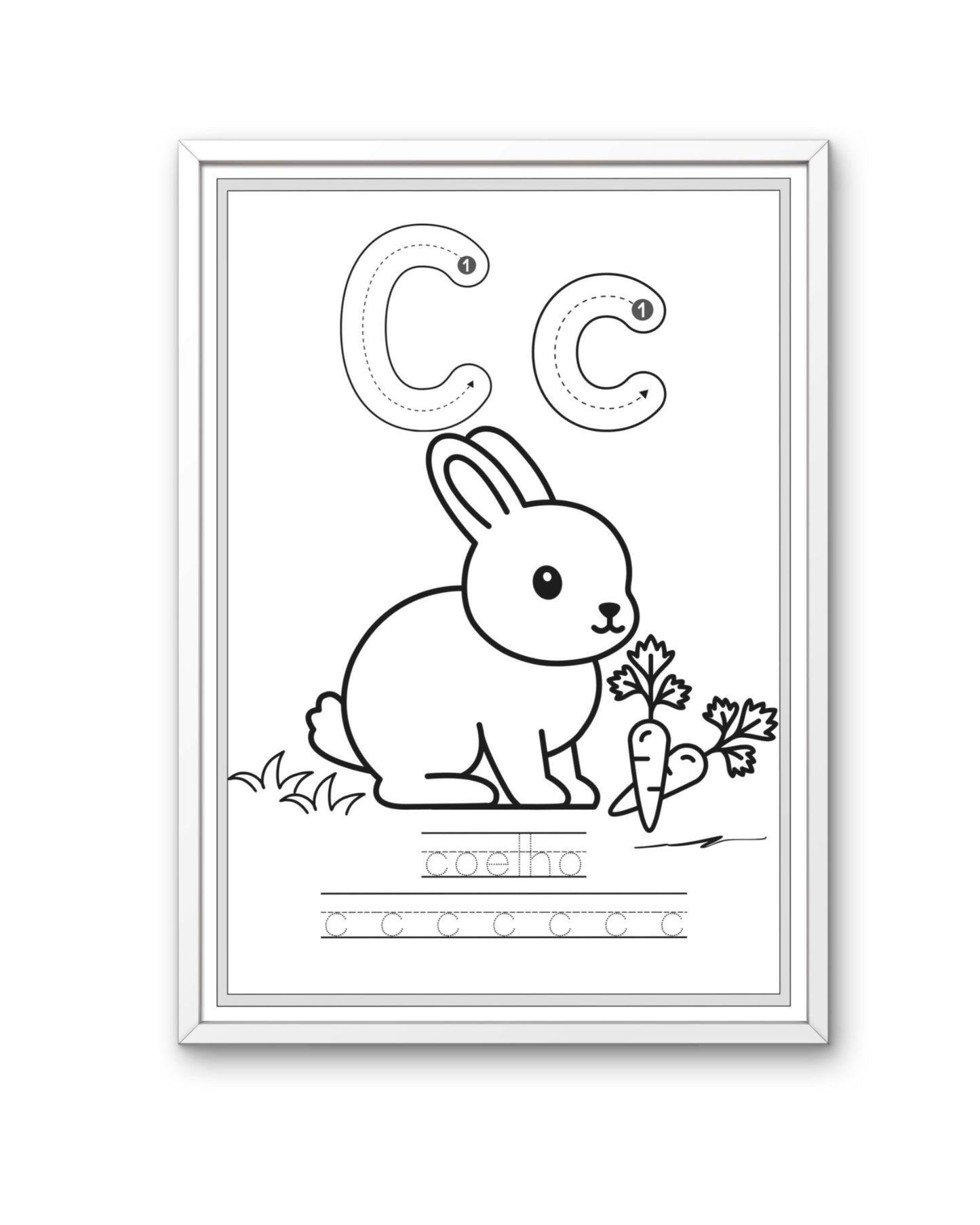 Alfabeto dos Animais - livro para colorir