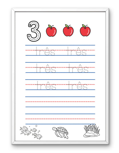 Caderno dos numeros 1 a 20