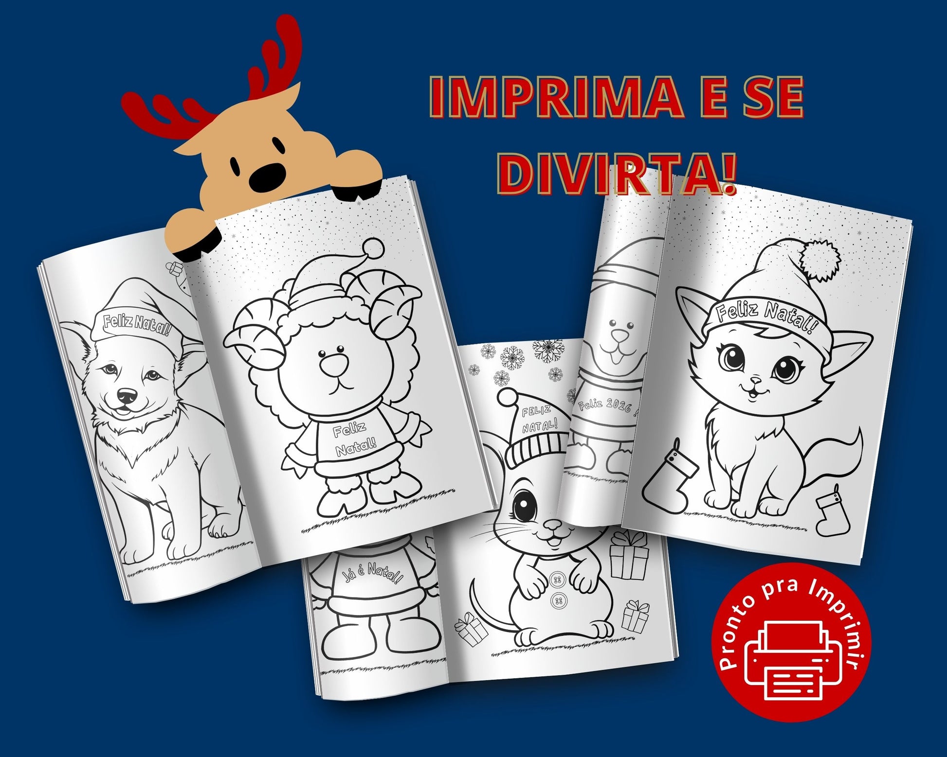 PAGINAS INTERNAS